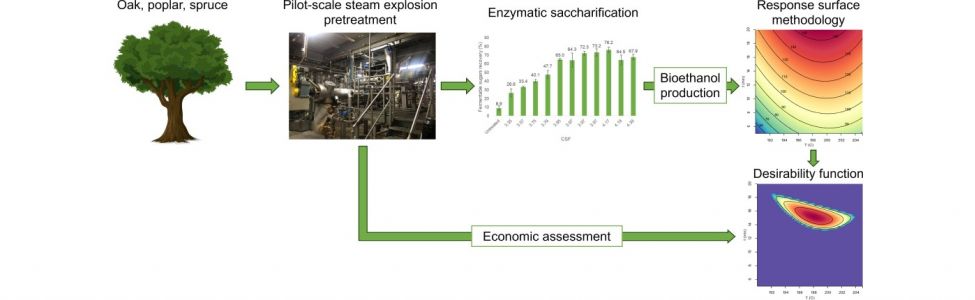 2024-12-05 Article PT bioéthanol.jpg