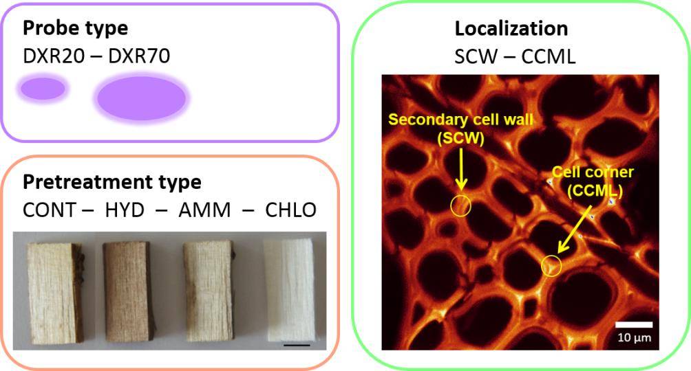 Parameters to assay probe accessibility