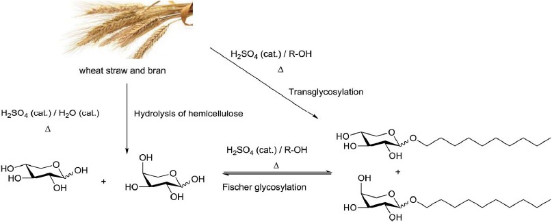 Xylopyranoside synthesis