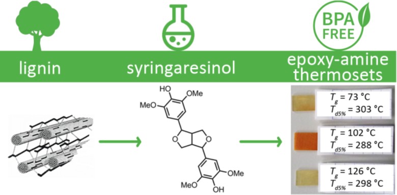Syringaresinol-based resin