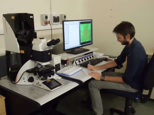 Mickaël in front of the confocal microscope