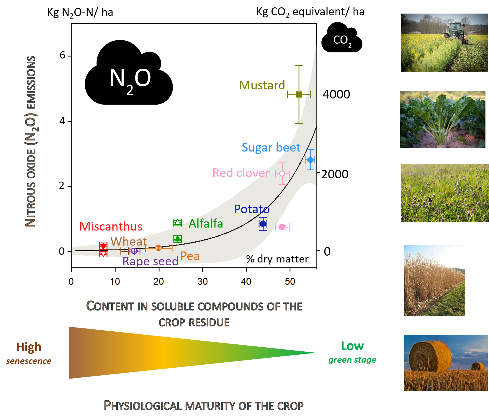 January 10 2022 - The physiological maturity of the plants from which the crop residues originate impacts N2O emissions during their soil decomposition